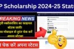 UP Scholarship Status 2025